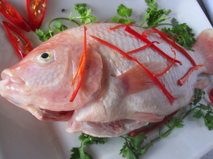 Mơ thấy cá trắng cho thấy cuộc sống của bạn đang gặp nhiều khó khăn và trở ngại