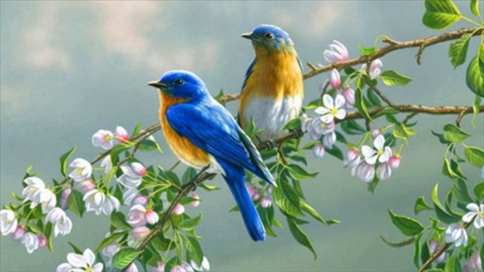 Giấc mơ thấy chim uyên ương mang lại điềm báo về hạnh phúc lứa đôi.