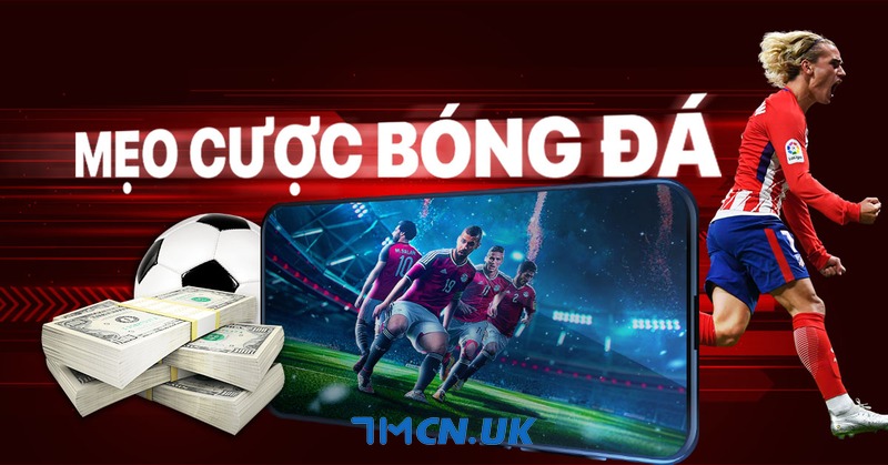 Đầu tư cá cược thông minh