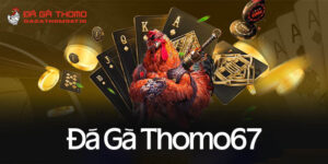 Đá gà thomo67