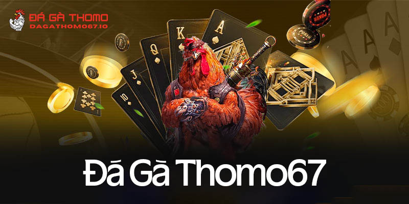 Đá gà thomo67