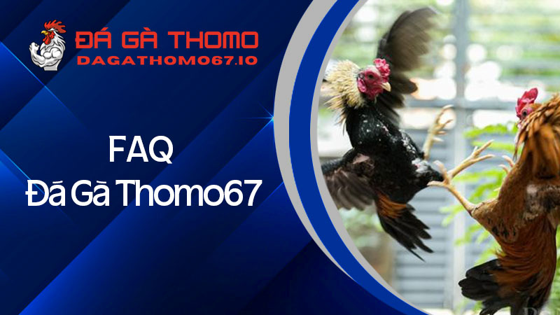 FAQ - Những câu hỏi thường gặp về đá gà thomo67