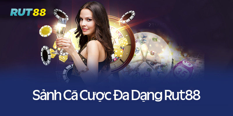 Khám phá sảnh cá cược đa dạng hấp dẫn tại rut88
