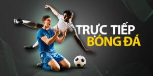 Xem live bóng đá trực tiếp 