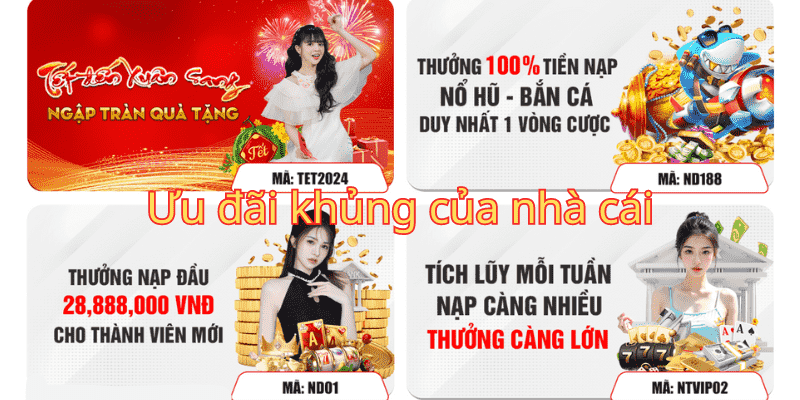Những lợi ích của việc đăng ký mb66