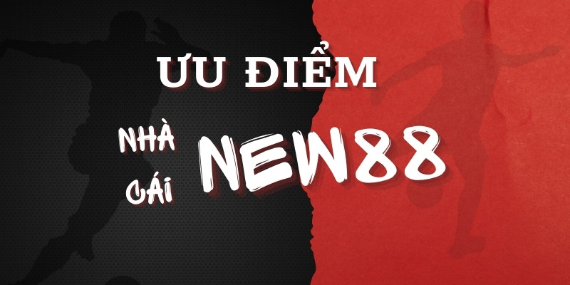Thương hiệu New88 có ấn tượng tốt với nhiều game thủ
